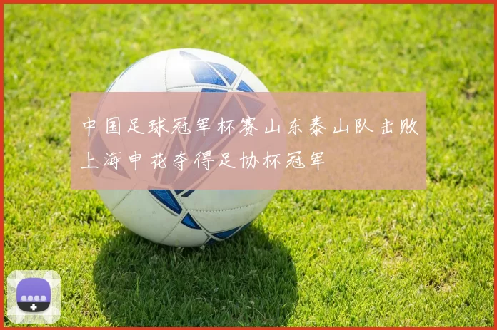 中国足球冠军杯赛山东泰山队击败上海申花夺得足协杯冠军