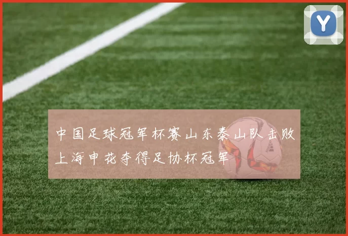 中国足球冠军杯赛山东泰山队击败上海申花夺得足协杯冠军