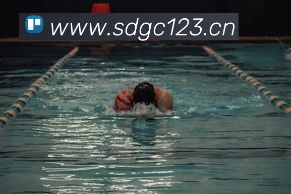 必一·运动(BSport)官方网站 - Official Platform平台生态图